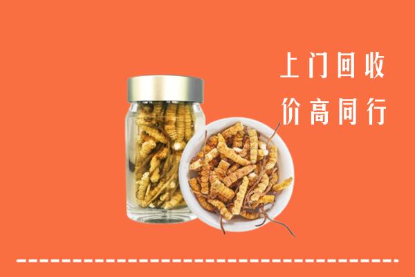 长安区回收冬虫夏草
