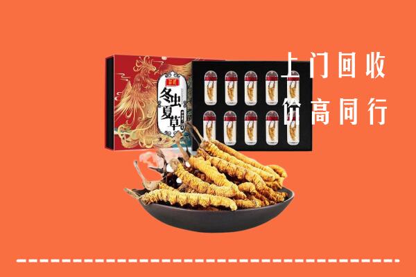 长安区回收虫草
